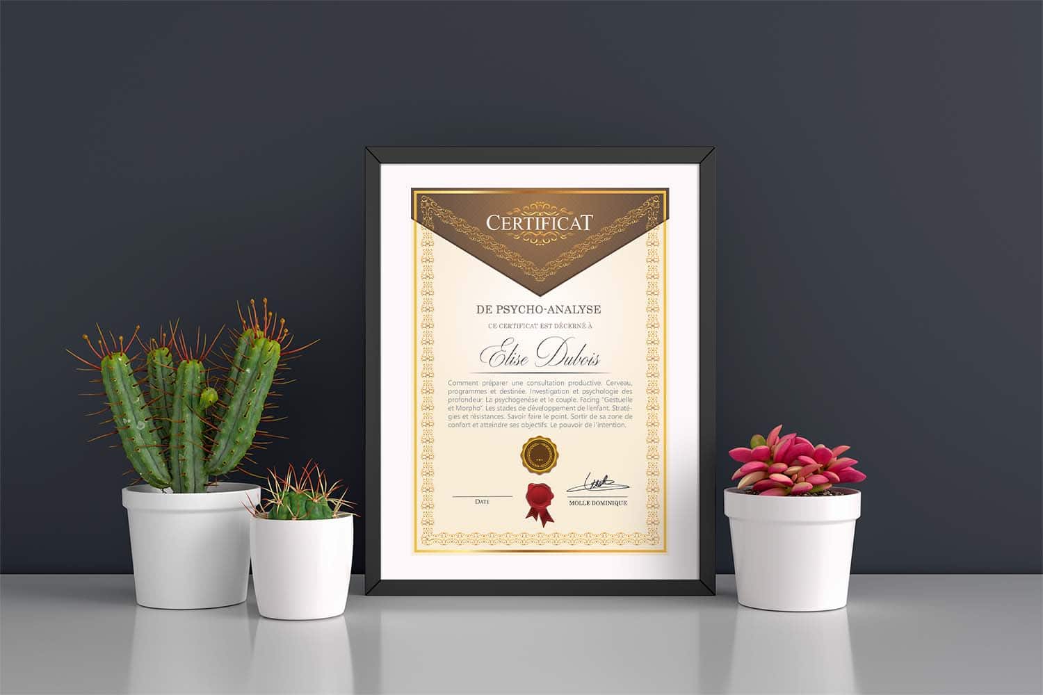 Certificat Facing - Psycho Analyse Exemple de certificat Facing - Psycho Analyse - Dominique Molle - Formation